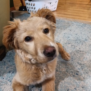 Fundraising Page: Karen Brelje